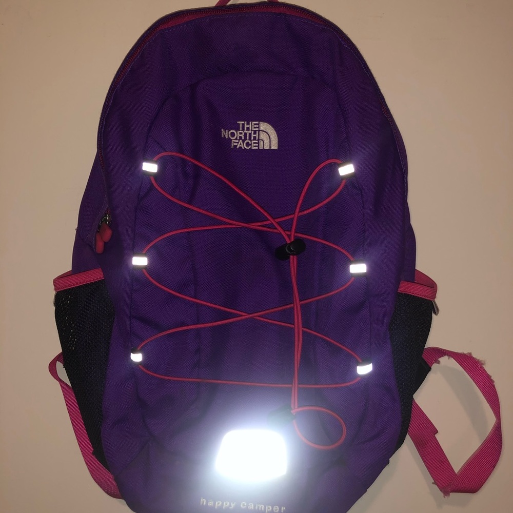 The North Face Pink and Purple Small Backpack